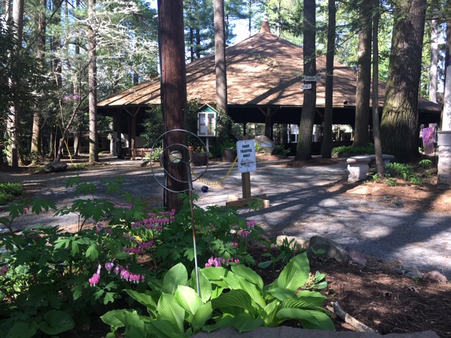 The round Mt. Gretna Tabernacle seen through the surrounding woodland